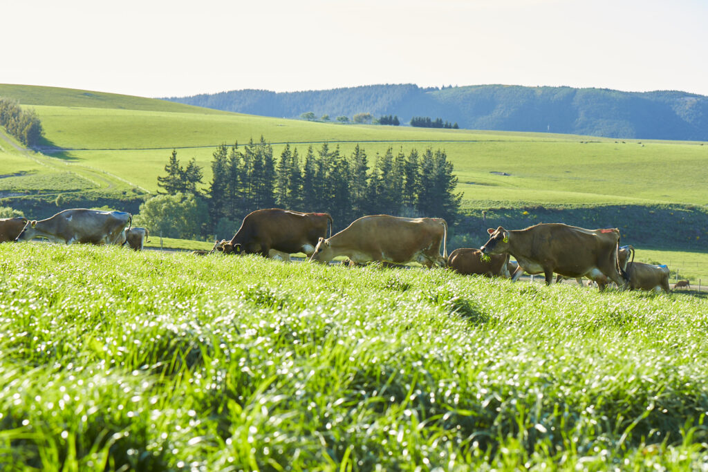 Rural businesses target growth strategies