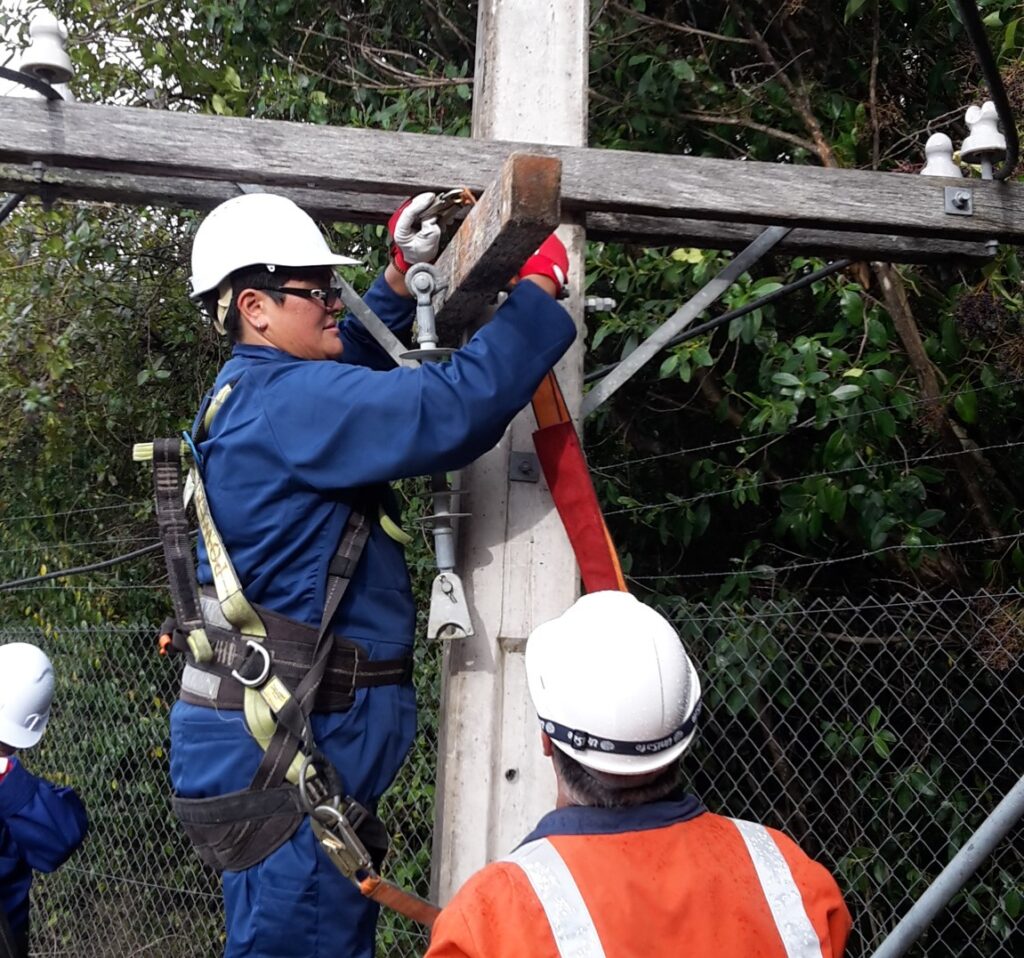 Women targeted to ease infrastructure skill shortage