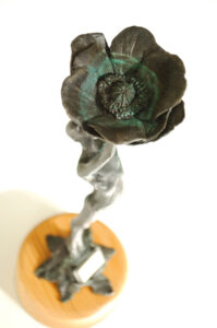 Kea Trophy