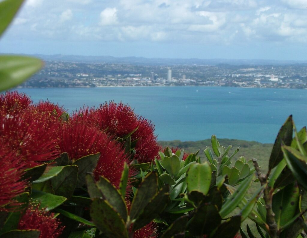 Provisional tax: the IRD’s Christmas present