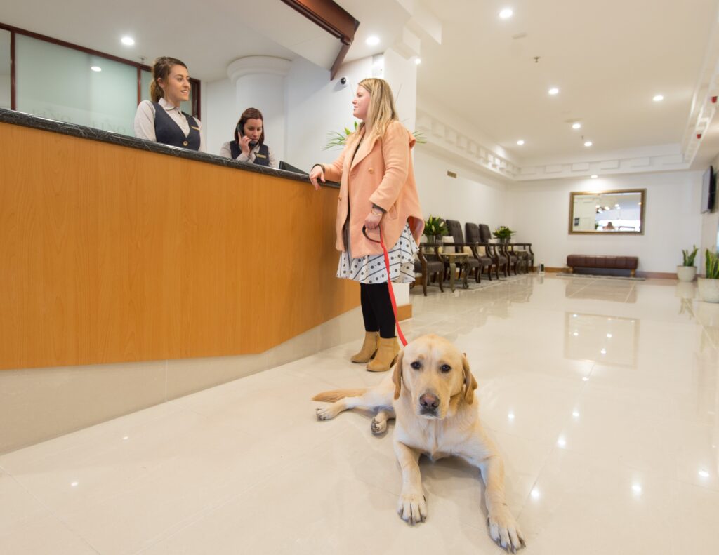FinoHotelDogs-5838
