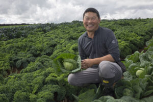 Allan Fong and baby cabbage