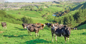 Turning farming into a tech business