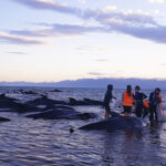 The power of purpose