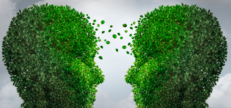 The primary pillars of persuasion: how to increase your conversion rate