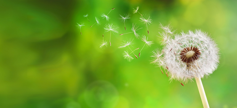 Payroll 2018: ringing the changes