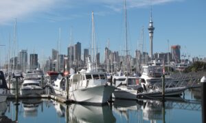 Boats in Marina