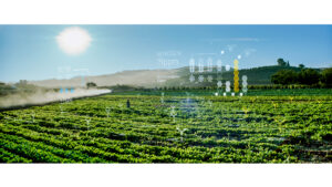 MS_AI_Agriculture_DataVis_002