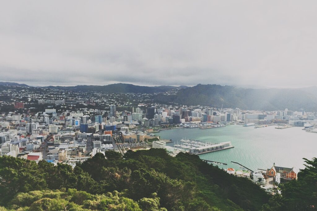 Wellington leads the way in job opportunities