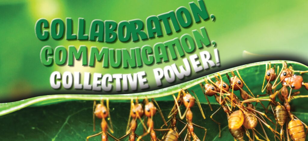 Fresh People Breakfast: Redeveloping Communication & Culture