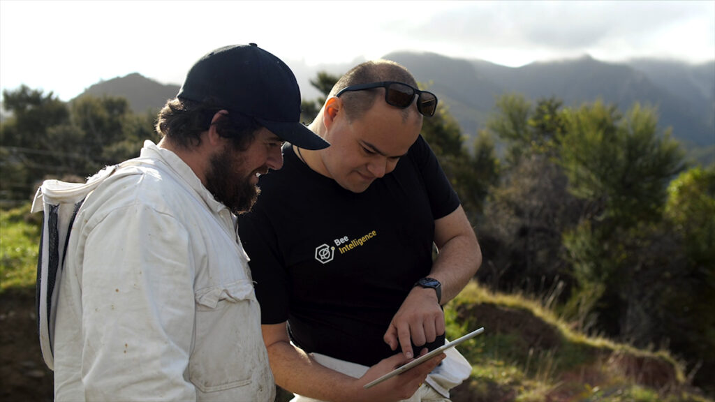 Bee Intelligence creates buzz at Sydney Festival