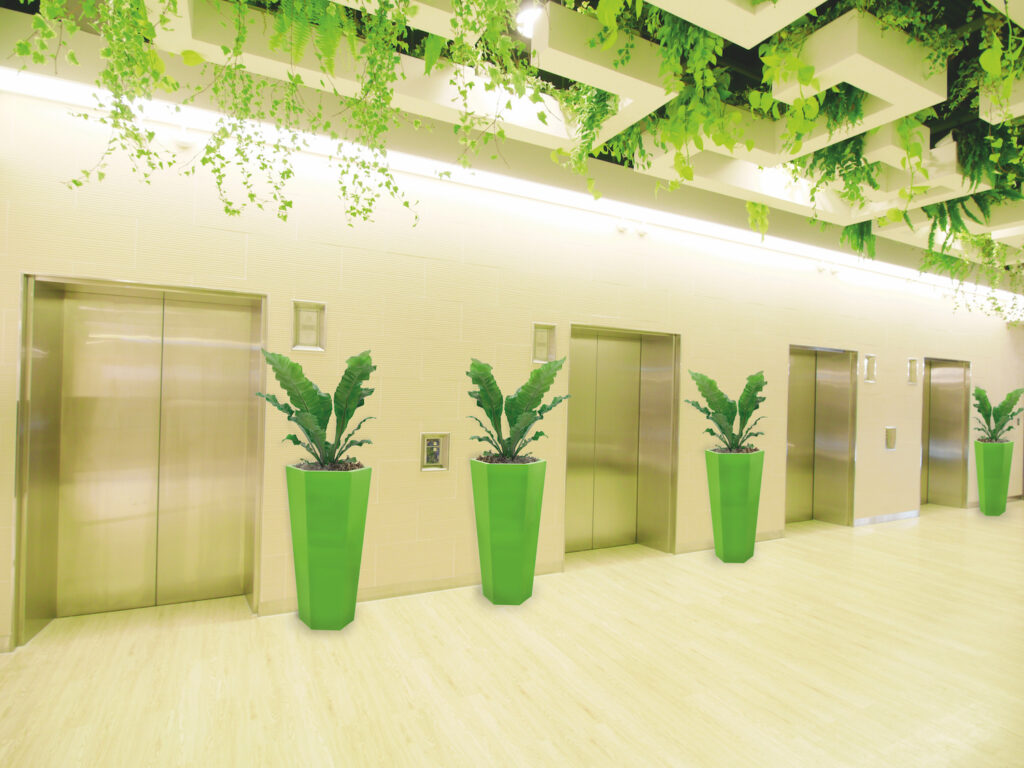 Biophilic design for naturally better buildings