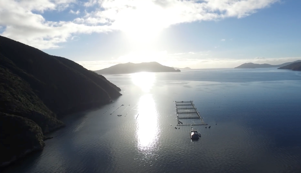 Aquaculture Direct sells half-share to Envirostrat