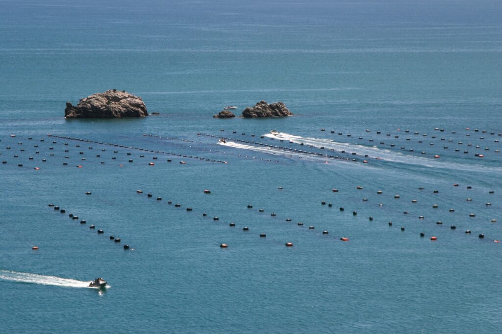 Sea change for aquaculture