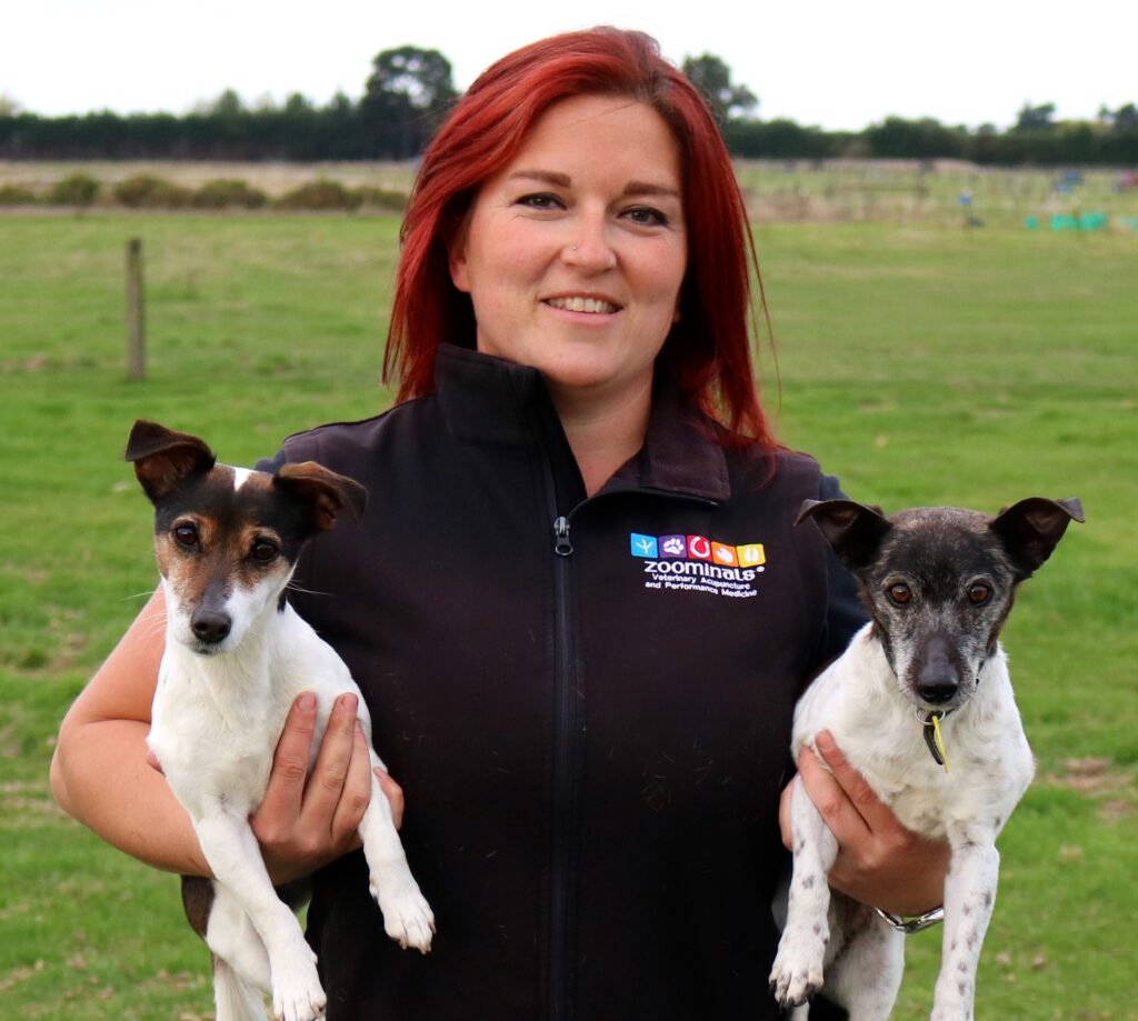 Making veterinary vision a reality