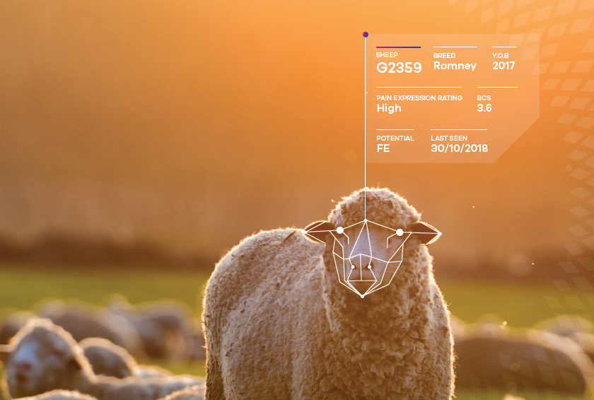 $1M seed capital for agtech, foodtech startups