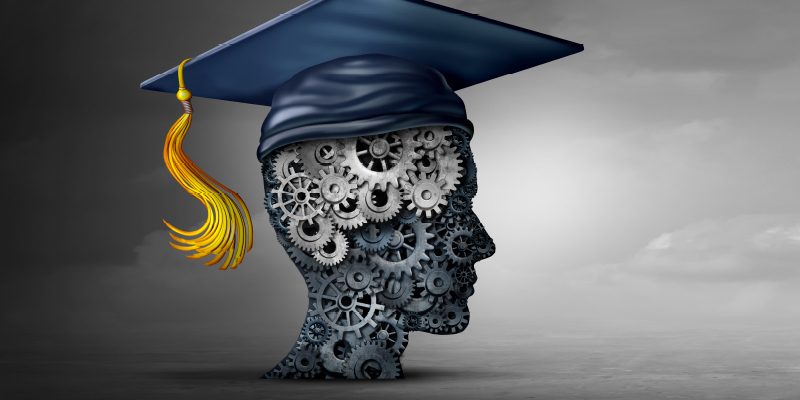 Maximising your value and purpose