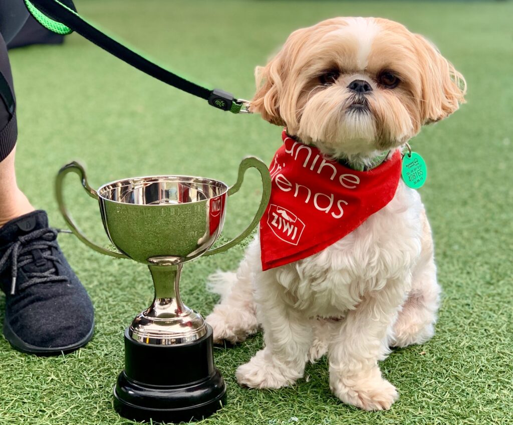 Top office dog competition now open