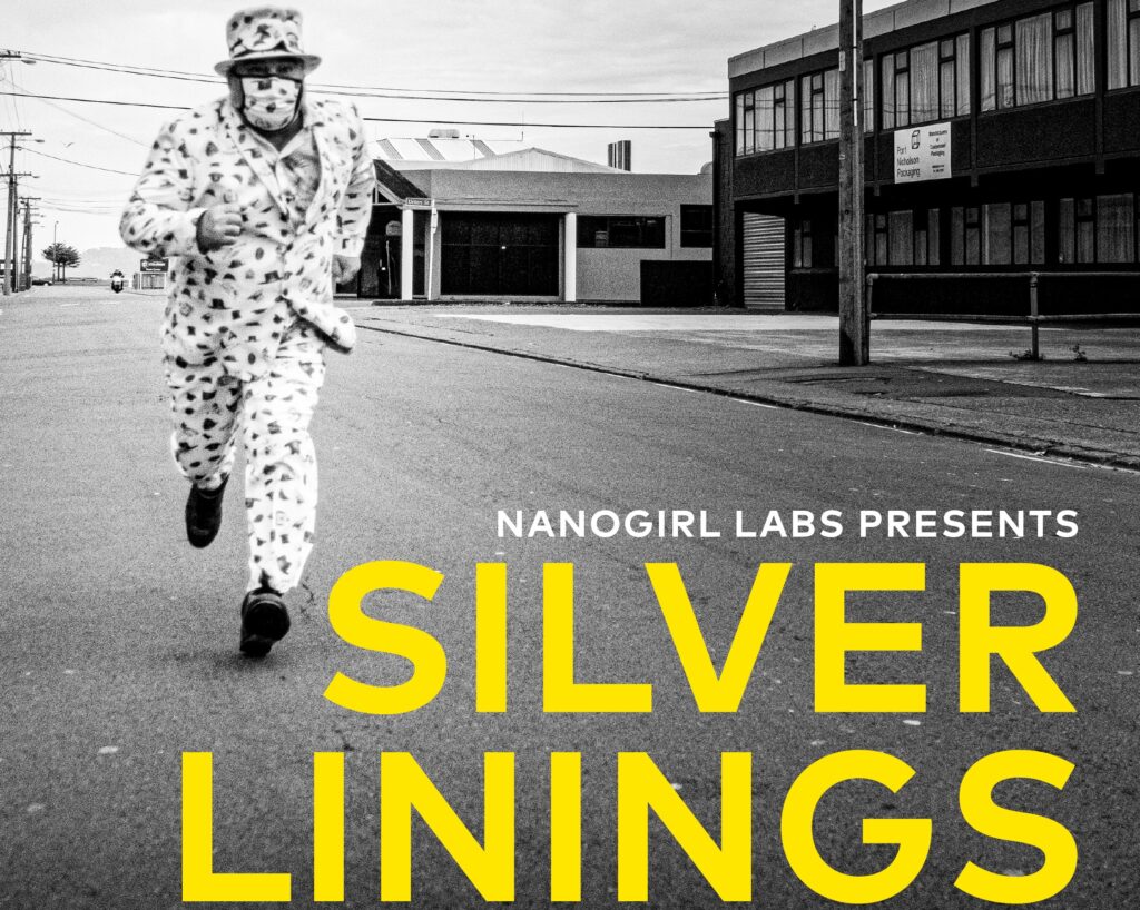 SilverLining_CVR-Biblio (2)