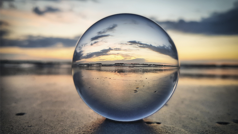 NZBusiness August 2021