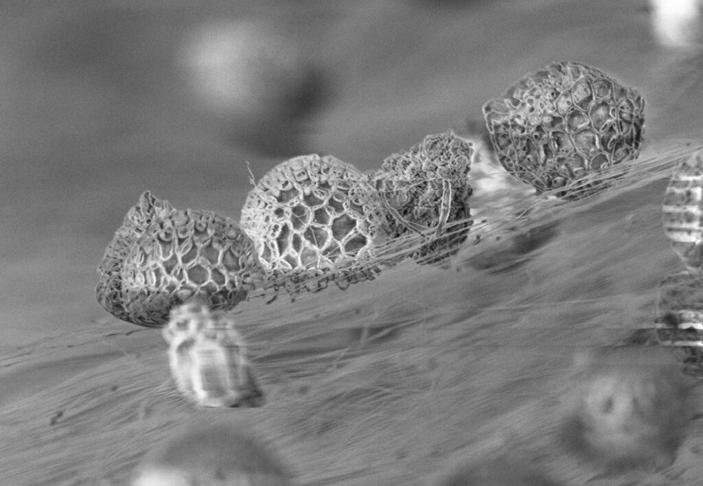 FliterLayr nanofibre