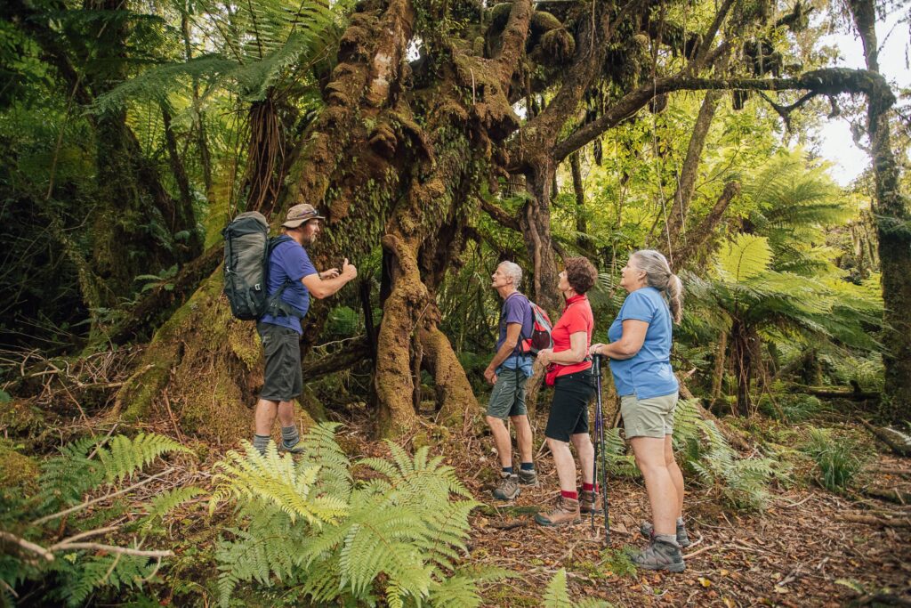 Tour business gives back to the environment