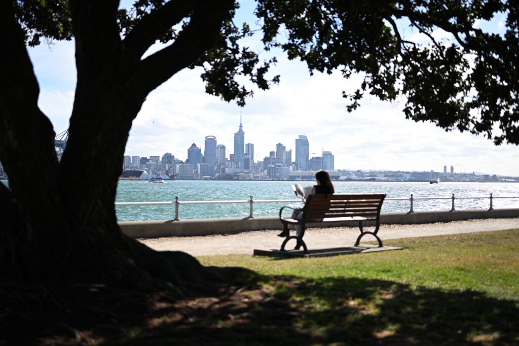 Devonport Auckland Skyline