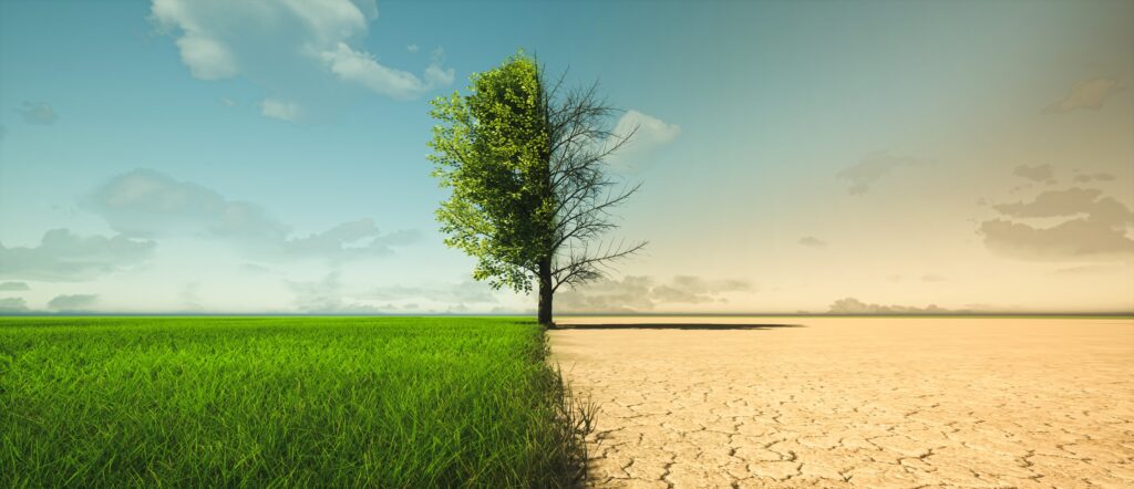Climate change response