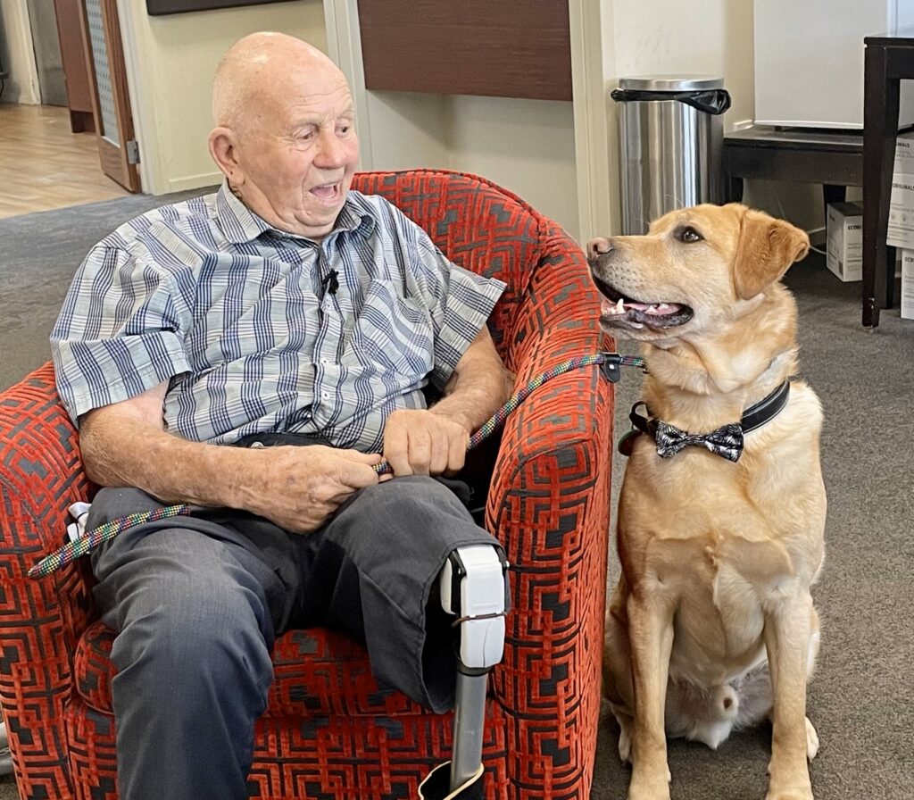 Work is more likeable with dogs