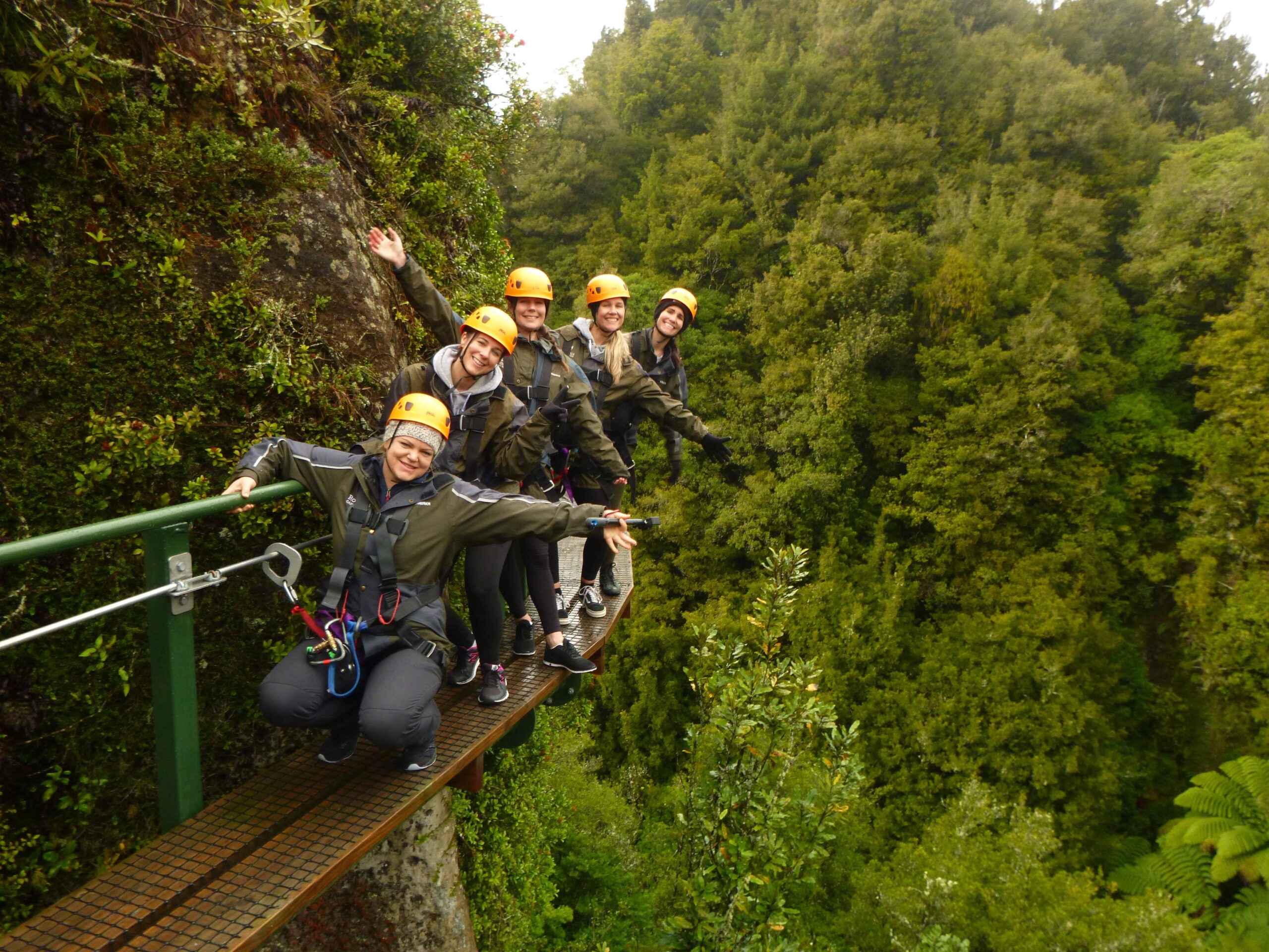 Rotorua Canopy Tours