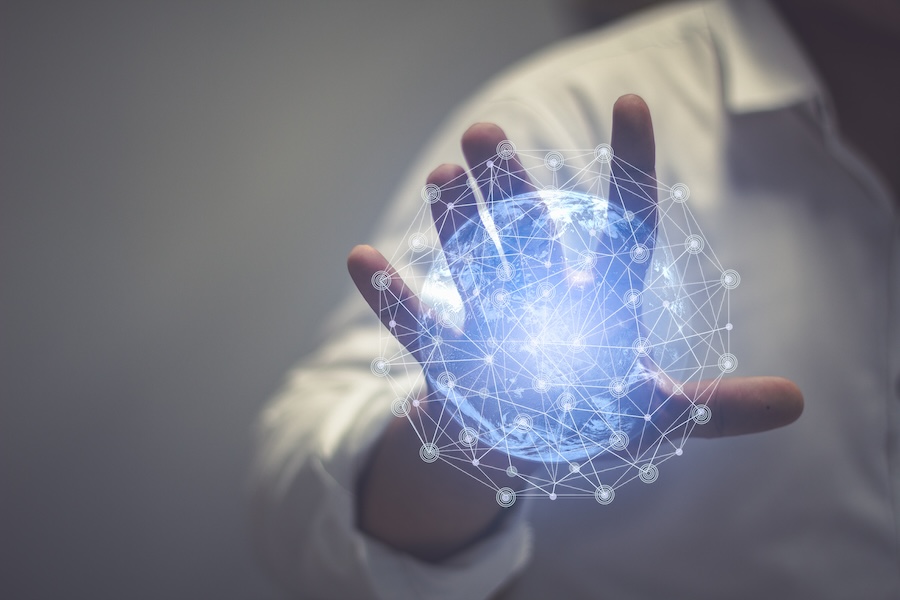 Are New Zealand SMEs too undisciplined for AI?