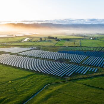 Small business sales show early signs of recovery, but jobs remain tight